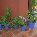 Mi Casa En Cordoba