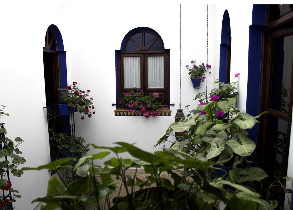 Mi Casa En