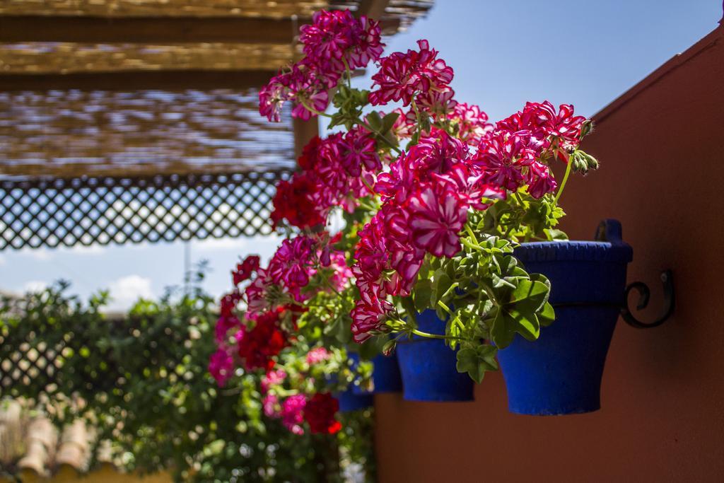 Apartamento Mi Casa En *