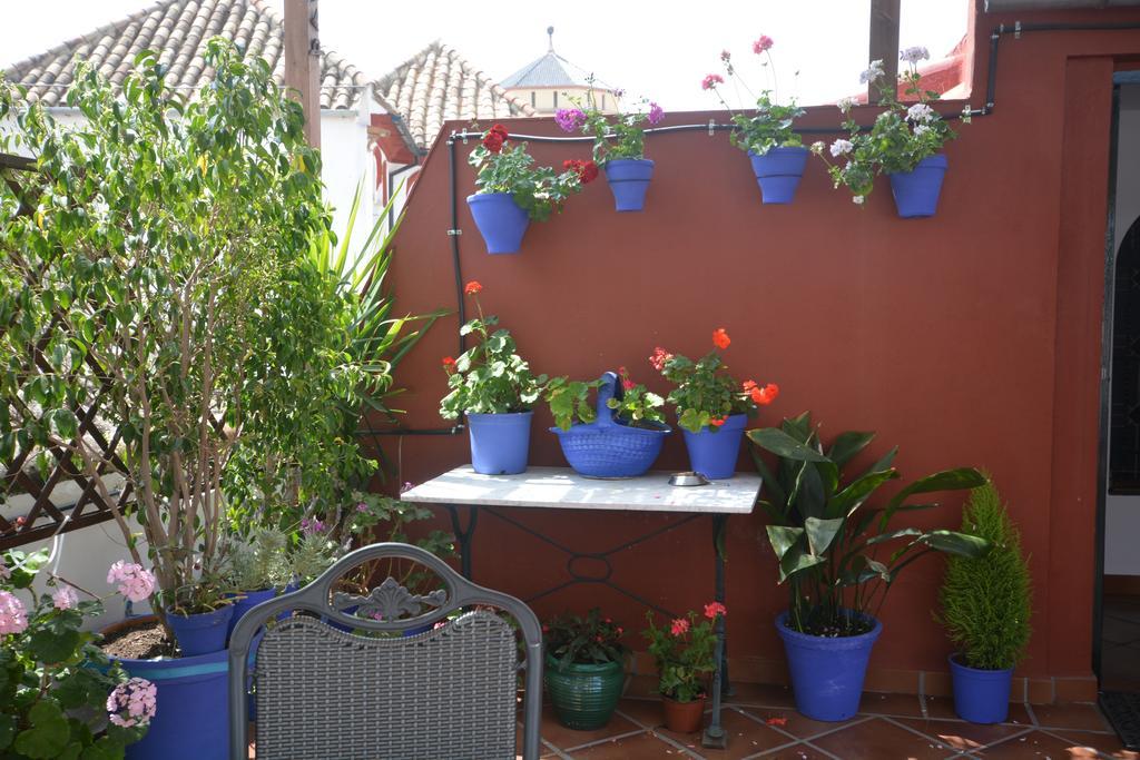 Mi Casa En Apartamento *