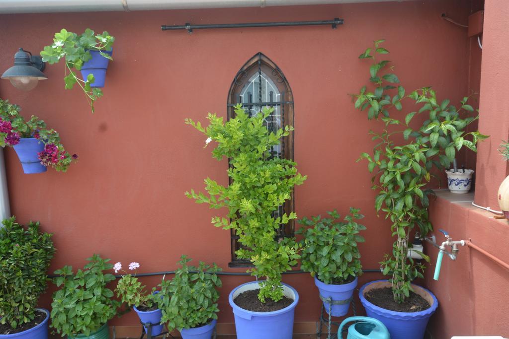Mi Casa En *