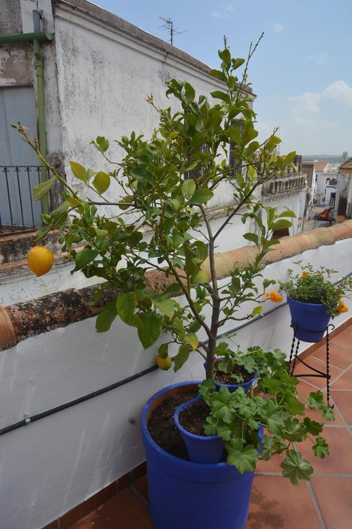 Mi Casa En