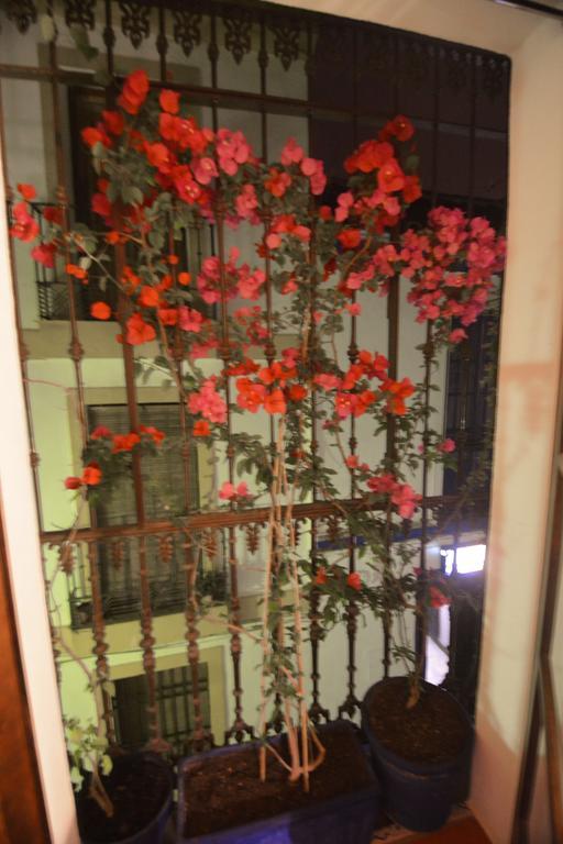 Apartamento Mi Casa En *