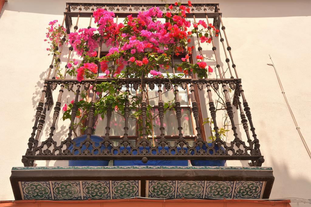 Mi Casa En *