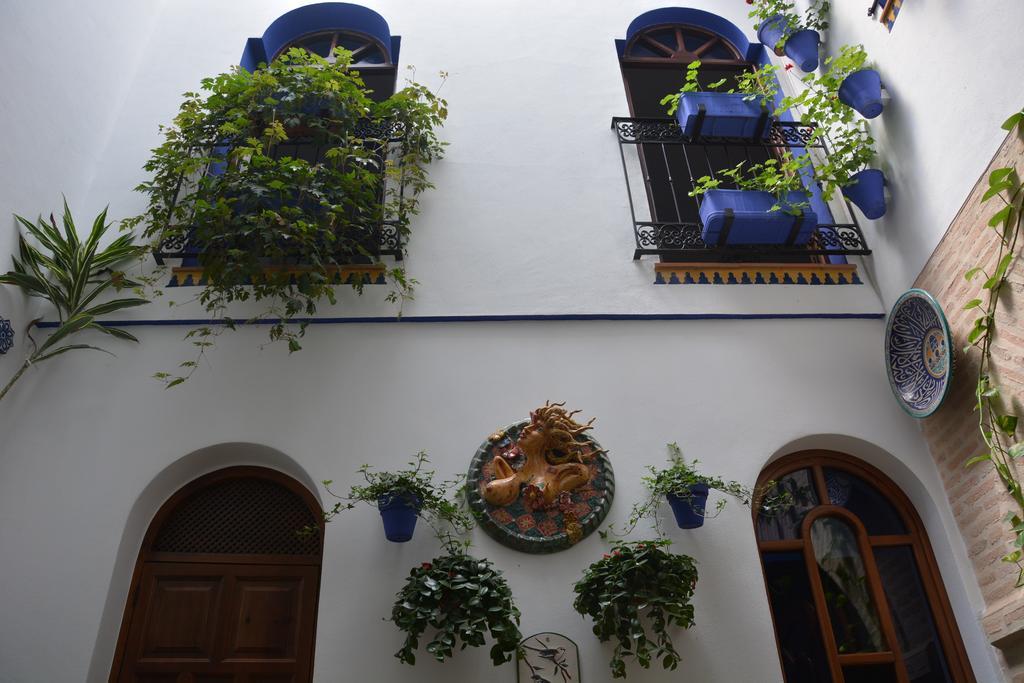 Apartamento Mi Casa En Córdoba
