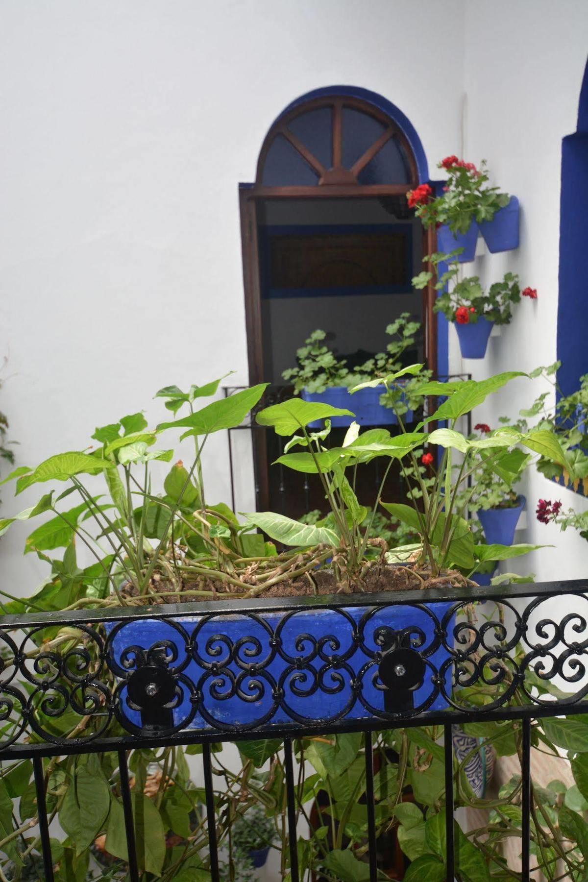 Mi Casa En *
